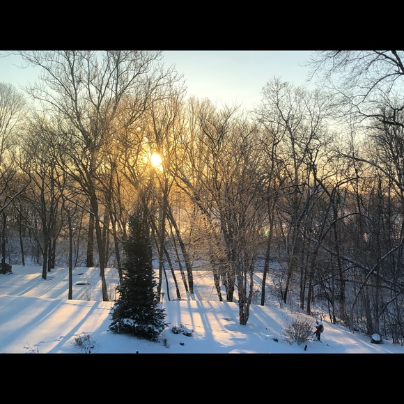 Meet your Posher, Paula - Picture 1 of 2